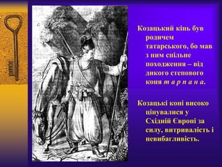Козацький кінь був
родичем
татарського, бо мав
з ним спільне
походження – від
дикого степового
коня т а р п а н а.
Козацькі коні високо
цінувалися у
Східній Європі за
силу, витривалість і
невибагливість.
 