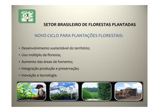 10
• Desenvolvimento sustentável do território;
• Uso múltiplo da floresta;
• Aumento das áreas de fomento;
• Integração produção e preservação;
• Inovação e tecnologia.
NOVO CICLO PARA PLANTAÇÕES FLORESTAIS:
SETOR BRASILEIRO DE FLORESTAS PLANTADAS
 