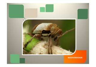 BIODIVERSIDADE
 