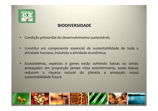 16
BIODIVERSIDADE
• Condição primordial do desenvolvimento sustentável;
• Constitui um componente essencial da sustentabilidade de toda a
atividade humana, incluindo a atividade econômica;
• Ecossistemas, espécies e genes estão sofrendo baixas ou sendo
ameaçados em proporção jamais vista anteriormente, essas baixas
reduzem a riqueza natural do planeta e ameaçam nossa
sustentabilidade futura.
 