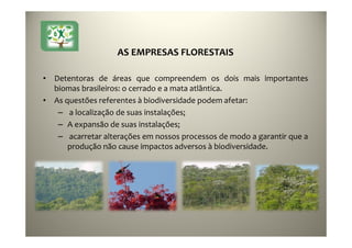 17
AS EMPRESAS FLORESTAIS
• Detentoras de áreas que compreendem os dois mais importantes
biomas brasileiros: o cerrado e a mata atlântica.
• As questões referentes à biodiversidade podem afetar:
– a localização de suas instalações;
– A expansão de suas instalações;
– acarretar alterações em nossos processos de modo a garantir que a
produção não cause impactos adversos à biodiversidade.
 