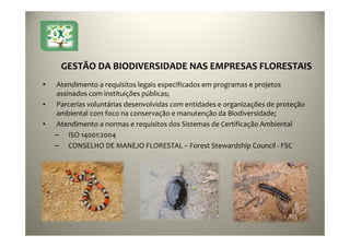 20
GESTÃO DA BIODIVERSIDADE NAS EMPRESAS FLORESTAIS
• Atendimento a requisitos legais especificados em programas e projetos
assinados com instituições públicas;
• Parcerias voluntárias desenvolvidas com entidades e organizações de proteção
ambiental com foco na conservação e manutenção da Biodiversidade;
• Atendimento a normas e requisitos dos Sistemas de Certificação Ambiental
– ISO 14001:2004
– CONSELHO DE MANEJO FLORESTAL – Forest Stewardship Council - FSC
 