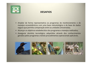 24
• Ampliar de forma representativa os programas de monitoramento e de
manejos ecossistêmicos com uma base metodológica e de base de dados
segura que permita comparação entre as unidades amostradas;
• Alcançar os objetivos estabelecidos dos programas e manejos realizados;
• Assegurar domínio tecnológico adquiridos através dos conhecimentos
gerados pelos programas criando procedimentos operacionais aplicáveis.
DESAFIOS
 