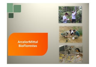 ArcelorMittal
BioFlorestas
 