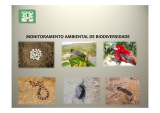 MONITORAMENTO AMBIENTAL DE BIODIVERSIDADE
 