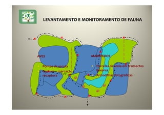 33
AVES
• Pontos de escuta
• Captura – marcação -
recaptura
MAMÍFEROS
• Parcelas de areia em transectos
lineares
• Armadilhas fotográficas
LEVANTAMENTO E MONITORAMENTO DE FAUNA
 