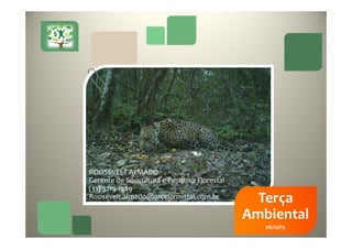49
Obrigado!
ROOSEVELT ALMADO
Gerente de Silvicultura e Pesquisa Florestal
(31) 3219-1549
Roosevelt.almado@arcelormittal.com.br Terça
Ambiental
06/10/15
 