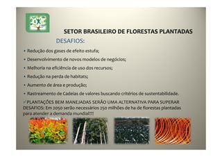 • Redução dos gases de efeito estufa;
• Desenvolvimento de novos modelos de negócios;
• Melhoria na eficiência de uso dos recursos;
• Redução na perda de habitats;
• Aumento de área e produção;
• Rastreamento de Cadeias de valores buscando critérios de sustentabilidade.
PLANTAÇÕES BEM MANEJADAS SERÃO UMA ALTERNATIVA PARA SUPERAR
DESAFIOS: Em 2050 serão necessários 250 milhões de ha de florestas plantadas
para atender a demanda mundial!!!!
DESAFIOS:
9
SETOR BRASILEIRO DE FLORESTAS PLANTADAS
 