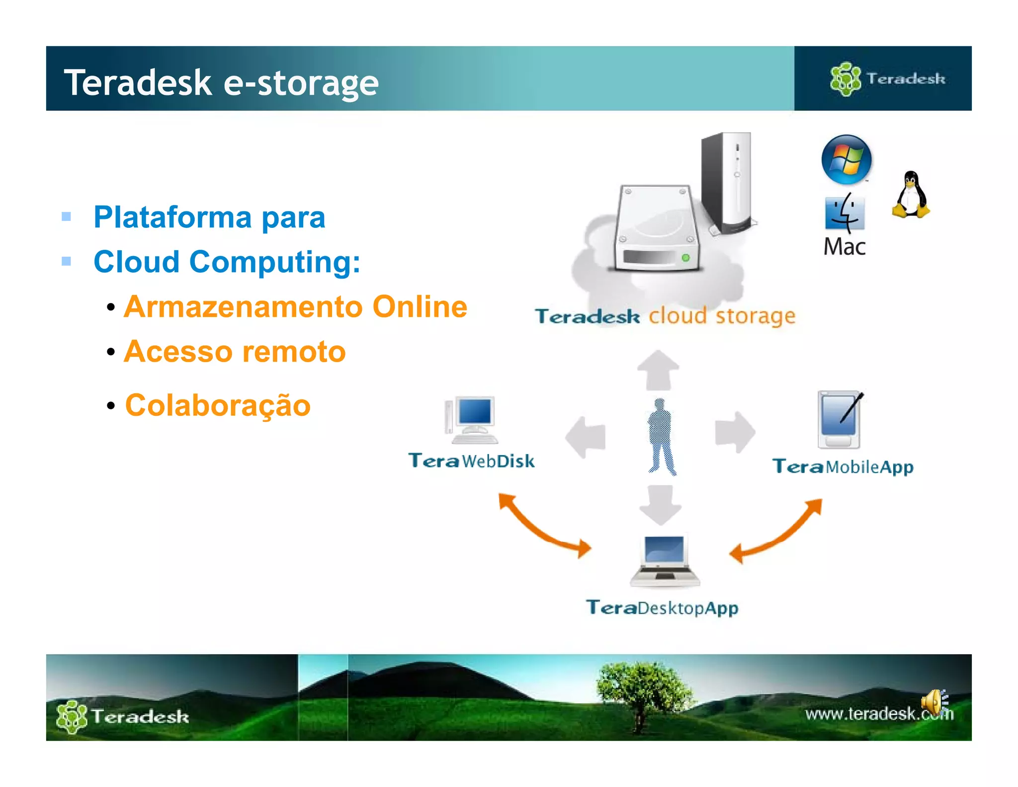 Teradesk Mobile Expert Augusto Ferrarini