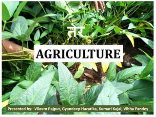 AGRICULTURE
Presented by: Vikram Rajput, Gyandeep Hazarika, Kumari Kajal, Vibha Pandey
तेर
 