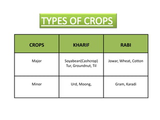 CROPS KHARIF RABI
Major Soyabean(Cashcrop)
Tur, Groundnut, Til
Jowar, Wheat, Cotton
Minor Urd, Moong, Gram, Karadi
 