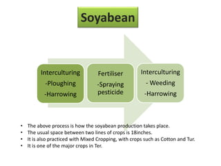 Soyabean
Interculturing
-Ploughing
-Harrowing
Fertiliser
-Spraying
pesticide
Interculturing
- Weeding
-Harrowing
• The above process is how the soyabean production takes place.
• The usual space between two lines of crops is 18inches.
• It is also practiced with Mixed Cropping, with crops such as Cotton and Tur.
• It is one of the major crops in Ter.
 