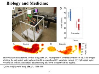 !21
Diabetic foot measurement studies using THz. (A) Photograph of the measurement set-up. THz images
plotting the calculated water volume for (B) a control and (C) a diabetic patient. (D) Calculated water
volume for control and diabetic patients using data from the centre of the big toe.
Quant Imaging Med. Surg. 2017;7(3):345-355
Biology and Medicine:
 