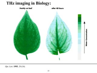 !22
THz imaging in Biology:
Opt. Lett. 1995, 20 (16)
 