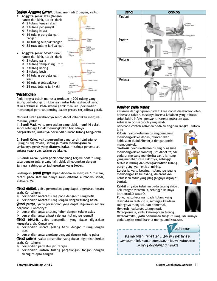 Apa Fungsi Tulang Telapak Tangan Mudah