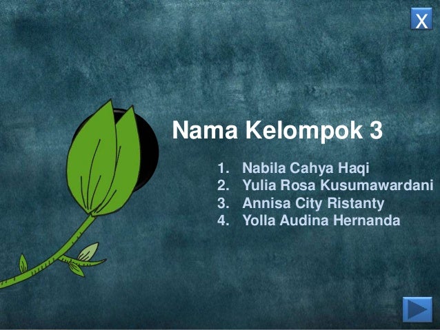 Terampil menulis kalimat efektif