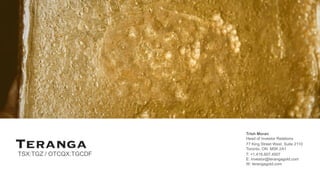 Trish Moran
Head of Investor Relations
77 King Street West, Suite 2110
Toronto, ON M5K 2A1
T: +1.416.607.4507
E: investor@terangagold.com
W: terangagold.com
TSX:TGZ / OTCQX:TGCDF
 