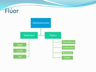 Flúor
Administración
Sistémica
Agua
Leche
Sal
Tópica
Dentífricos
Colutorios
Barnices
Geles
 