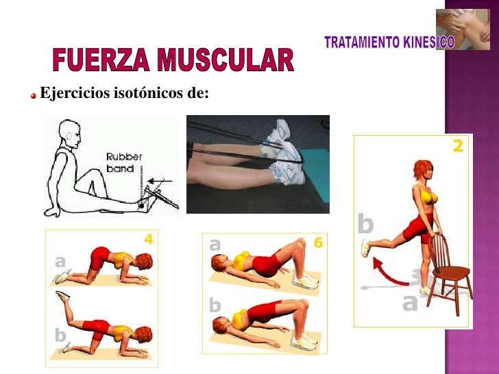 cadenas musculares rodilla fractura de rotula cadenas musculares rodilla fractura de rotula