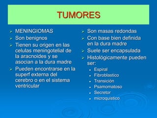 TUMORES
 MENINGIOMAS
 Son benignos
 Tienen su origen en las
celulas meningotelial de
la aracnoides y se
asocian a la dura madre
 Pueden encontrarse en la
superf externa del
cerebro o en el sistema
ventricular
 Son masas redondas
 Con base bien definida
en la dura madre
 Suele ser encapsulada
 Histológicamente pueden
ser:
 Espiral
 Fibroblastico
 Transición
 Psamomatoso
 Secretor
 microquistico
 