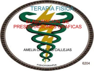 TERAPIA FISICA: ELABORACION  DE PRESENTACIONES GRAFICAS AMELIA CALLEJAS CALLEJAS 6204 