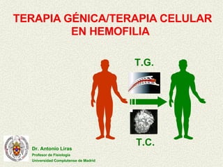 TERAPIA GÉNICA/TERAPIA CELULAR EN HEMOFILIA   T.G. T.C. Dr. Antonio Liras Profesor de Fisiología Universidad Complutense de Madrid 