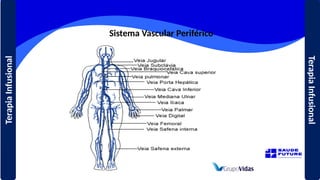 Sistema Vascular Periférico
Terapia
Infusional
Terapia
Infusional
 