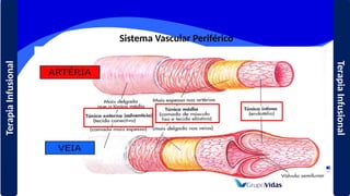 Sistema Vascular Periférico
Terapia
Infusional
Terapia
Infusional
 
