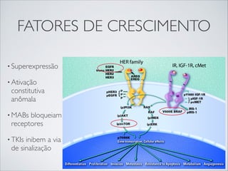 FATORES DE CRESCIMENTO
• Superexpressão
• Ativação

constitutiva
anômala

• MABs

bloqueiam
receptores

• TKIs

inibem a via
de sinalização

 