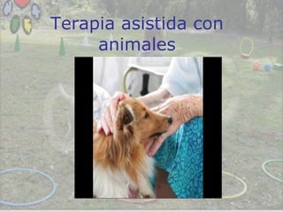 Terapia asistida con animales Presentación 