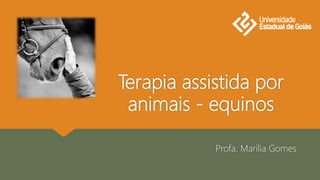 Terapia assistida por
animais - equinos
Profa. Marília Gomes
 