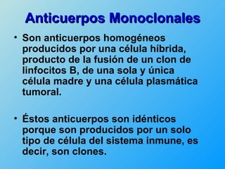 Anticuerpos Monoclonales
• Son anticuerpos homogéneos
  producidos por una célula híbrida,
  producto de la fusión de un clon de
  linfocitos B, de una sola y única
  célula madre y una célula plasmática
  tumoral.

• Éstos anticuerpos son idénticos
  porque son producidos por un solo
  tipo de célula del sistema inmune, es
  decir, son clones.
 