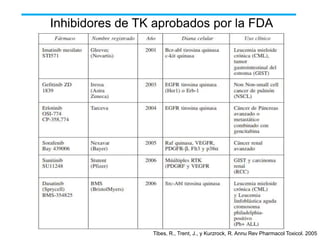 Inhibidores de TK aprobados por la FDA

Tibes, R., Trent, J., y Kurzrock, R. Annu Rev Pharmacol Toxicol. 2005

 