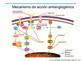 Mecanismo de acción antiangiogénico

Jaume Capdevila. Endocrinología y Nutrición 2012

 