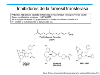 Inhibidores de la farnesil transferasa
Proteínas ras: activan cascada de fosforilación relacionadas con supervivencia celular.
Genes ras alterados en cáncer (15-25%) LMA.
Se activa por adición de un grupo farnesilo por la enzima farnesil transferasa.
IFT inhiben la farnesilación y la actividad de ras.

Maria Cristina Abuhaie et al. European Journal of Medicinal Chemistry ,2013.

 