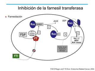 Inhibición de la farnesil transferasa
Farnesilación

Ras

Ras
Ras

FT

FTI

R M O’Regan and F R Khuri. Endocrine-Related Cancer, 2004.

 