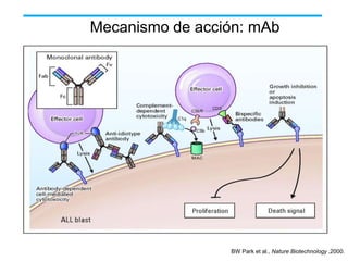 Mecanismo de acción: mAb

BW Park et al., Nature Biotechnology ,2000.

 