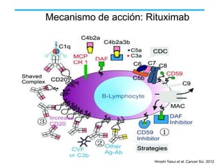 Mecanismo de acción: Rituximab

Hiroshi Yasui et al. Cancer Sci. 2012

 
