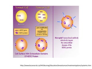 http://www.bccancer.bc.ca/HPI/Nursing/Education/breastcancer/treatmentoptions/systemic.htm

 
