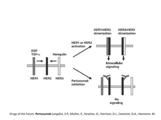 Drugs of the future. Pertuzumab Langdon, S.P., Mullen, P., Faratian, D., Harrison, D.J., Cameron, D.A., Hasmann, M.

 