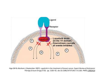 Higa GM & Abraham J (September 2007). Lapatinib in the treatment of breast cancer. Expert Review of Anticancer
Therapy (Future Drugs) 7 (9): pp. 1183–92. doi:10.1586/14737140.7.9.1183. PMID 17892419

 