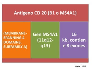 Antígeno CD 20 (B1 o MS4A1)

(MEMBRANESPANNING 4
DOMAINS,
SUBFAMILY A)

Gen MS4A1
16
(11q12kb, contien
q13)
e 8 exones

OMIM 112210

 