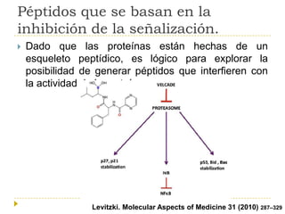 Péptidos que se basan en la
inhibición de la señalización.


Dado que las proteínas están hechas de un
esqueleto peptídico, es lógico para explorar la
posibilidad de generar péptidos que interfieren con
la actividad de la proteína.

ALevitzki. Molecular Aspects of Medicine 31 (2010) 287–329

 
