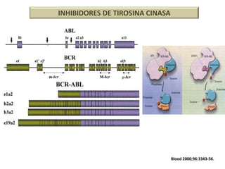 INHIBIDORES DE TIROSINA CINASA

Blood 2000;96:3343-56.

 
