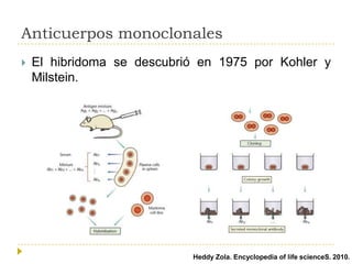 Anticuerpos monoclonales


El hibridoma se descubrió en 1975 por Kohler y
Milstein.

Heddy Zola. Encyclopedia of life scienceS. 2010.

 