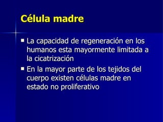 Célula madre La capacidad de regeneración en los humanos esta mayormente limitada a la cicatrización En la mayor parte de los tejidos del cuerpo existen células madre en estado no proliferativo  