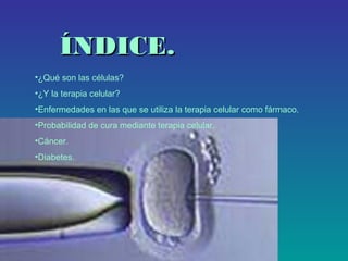 ÍNDICE.
•¿Qué son las células?
•¿Y la terapia celular?
•Enfermedades en las que se utiliza la terapia celular como fármaco.
•Probabilidad de cura mediante terapia celular.
•Cáncer.
•Diabetes.

 