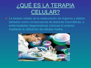 ¿QUÉ ES LA TERAPIA
CELULAR?
o La terapia celular es la restauración de órganos y tejidos
dañados como consecuencia de lesiones traumáticas, o
enfermedades degenerativas crónicas lo anterior
mediante la utilización de células madre.

 