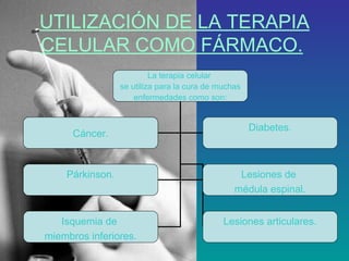 UTILIZACIÓN DE LA TERAPIA
CELULAR COMO FÁRMACO.
La terapia celular
se utiliza para la cura de muchas
enfermedades como son:

Cáncer.

Diabetes.

Párkinson.

Lesiones de
médula espinal.

Isquemia de
miembros inferiores.

Lesiones articulares.

 