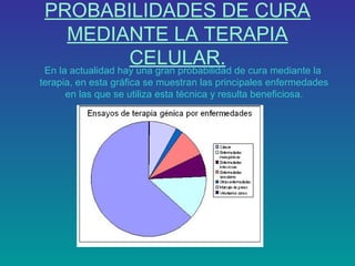 PROBABILIDADES DE CURA
MEDIANTE LA TERAPIA
CELULAR. de cura mediante la
En la actualidad hay una gran probabilidad
terapia, en esta gráfica se muestran las principales enfermedades
en las que se utiliza esta técnica y resulta beneficiosa.

 